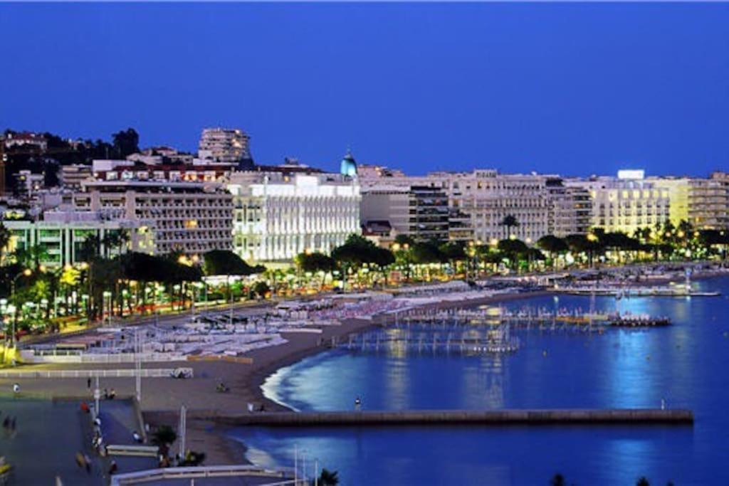Cannes Palm Beach Parking, Clim, Wifi Plage 2' A Pieds Екстер'єр фото