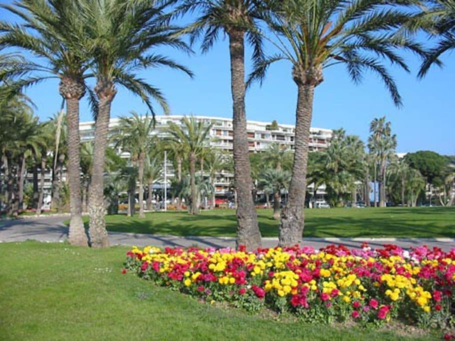 Cannes Palm Beach Parking, Clim, Wifi Plage 2' A Pieds Екстер'єр фото